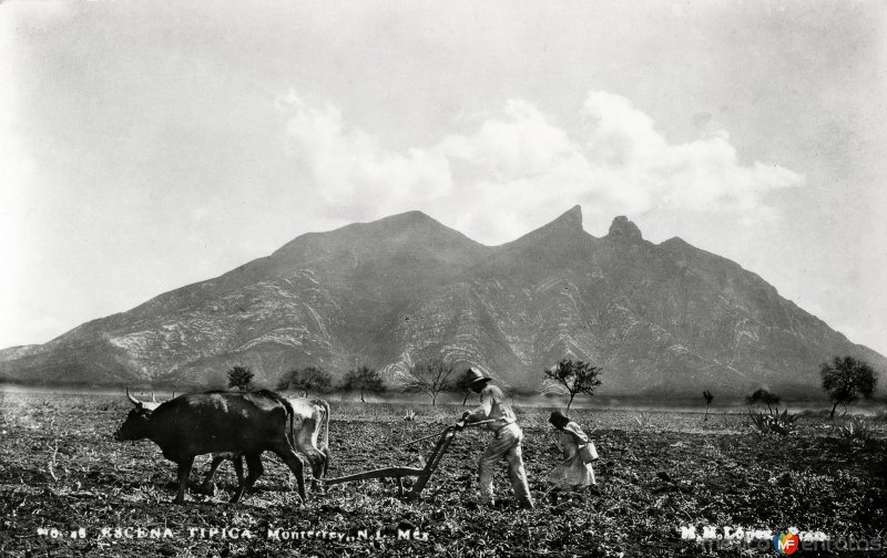 Cerro de la Silla