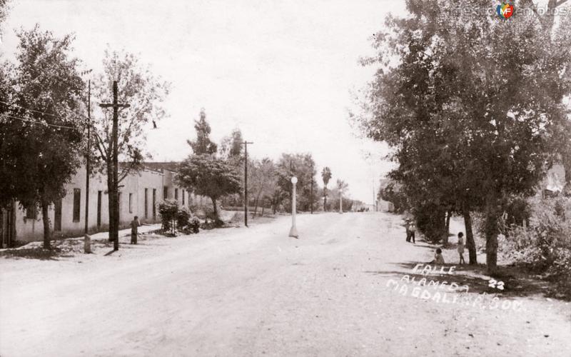 Calle Alameda