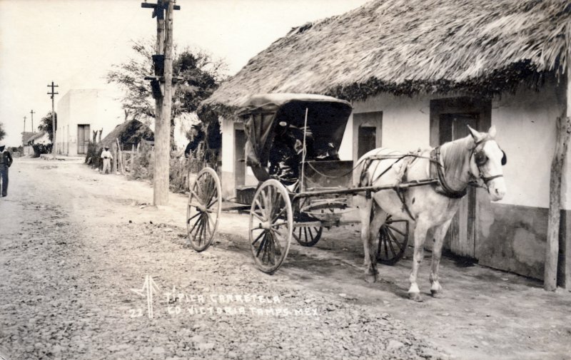 Carreta típica