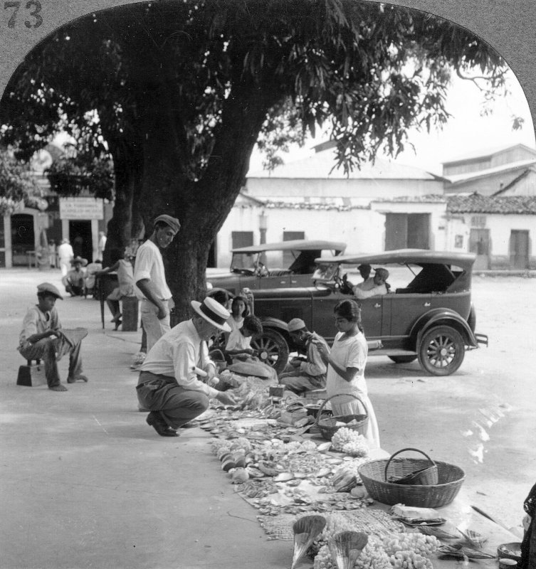 Mercado ambulante en la Plaza de Acapulco