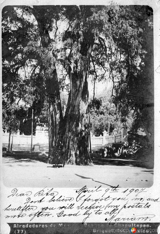 Bosque de Chapultepec