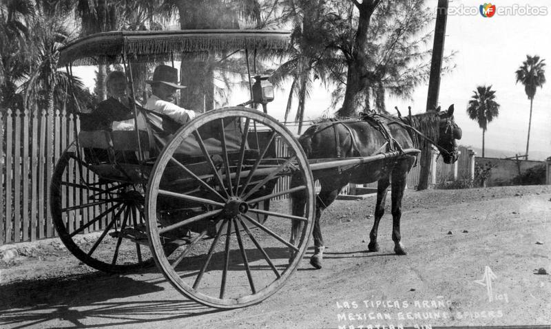 Carreta típica de Mazatlán