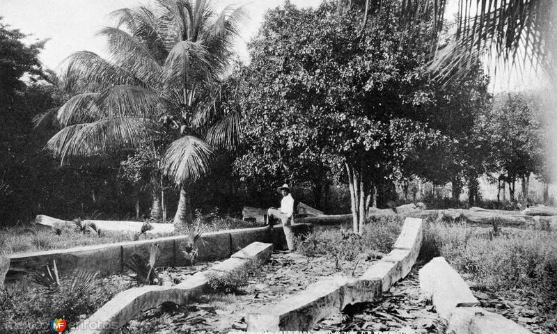 Preparación de madera para exportación a Europa