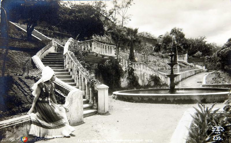 JARDINES Y FUENTE TIPICA