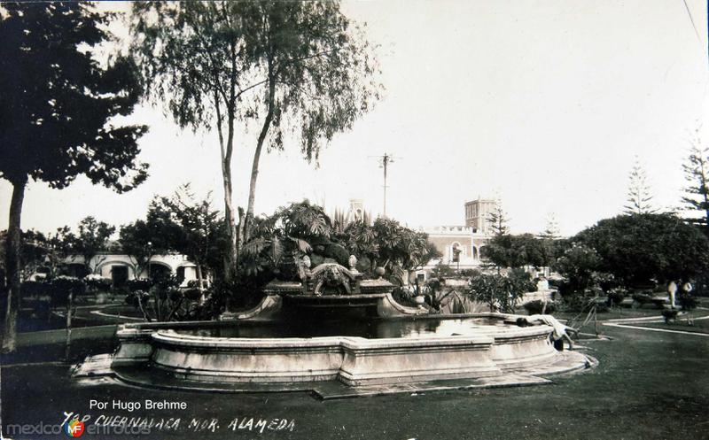 JARDINES Y FUENTE EN LA ALAMEDA por el fotografo HUGO BREHME