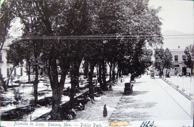 ALAMEDA DE LEON PANORAMA