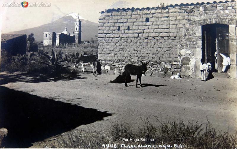 VIDA COTIDIANA PANORAMA por el famoso fotografo HUGO BREHME