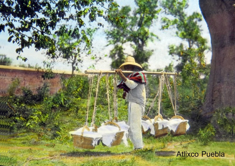 LLEVANDO LAS TORTILLAS TIPOS MEXICANOS