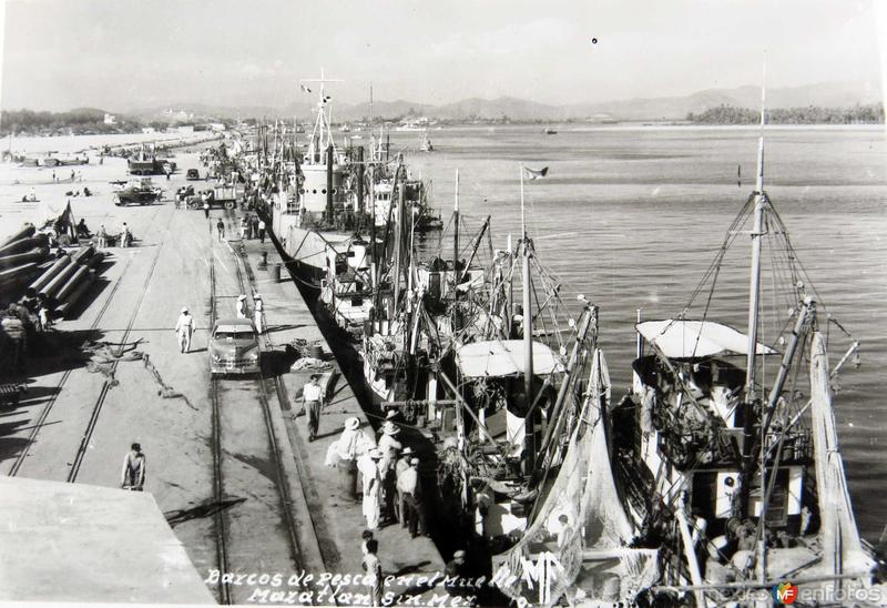 EL MUELLE PANORAMA