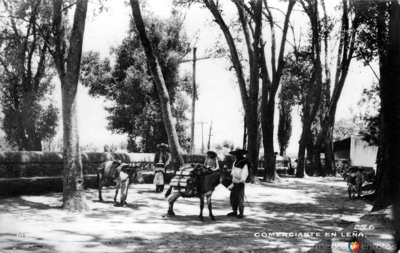 Comerciante de leña