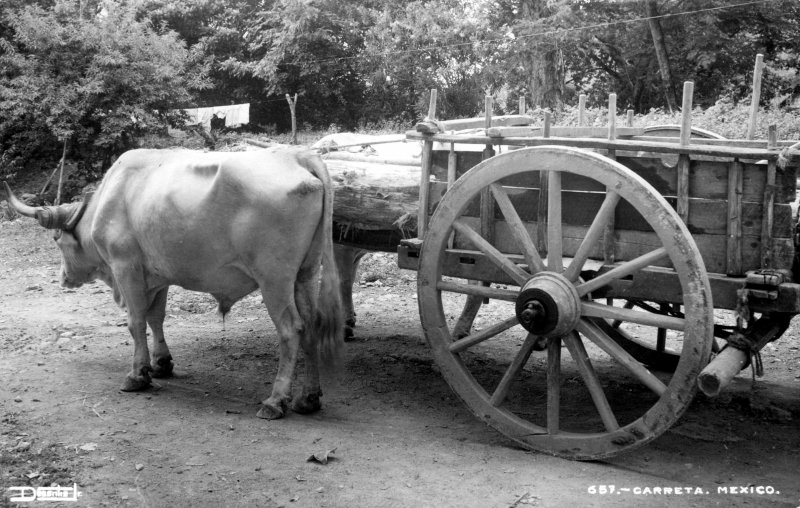 Carreta de bueyes