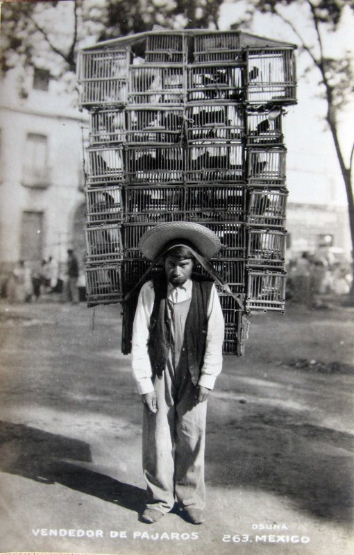 TIPOS MEXICANOS Vendedor de Pajaros