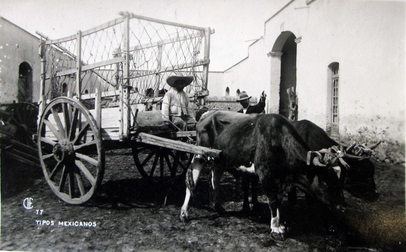 TIPOS MEXICANOS Carretero 1930