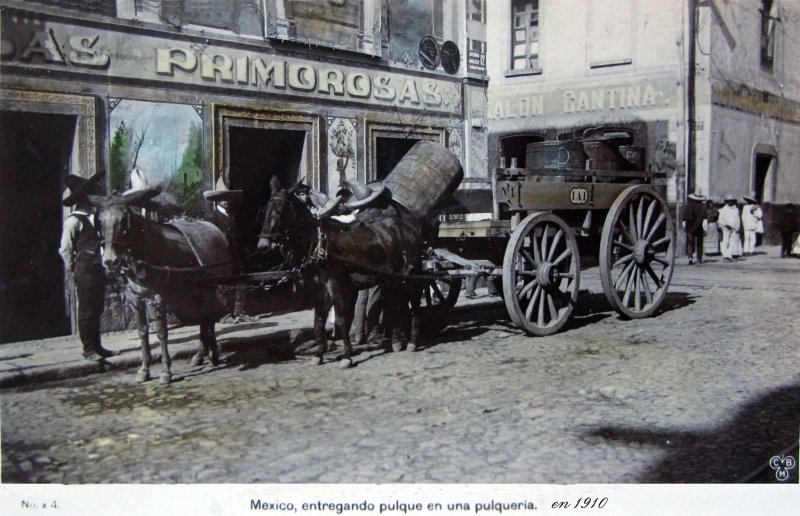 Entregando pulque en una pulquería (ca. 1910)