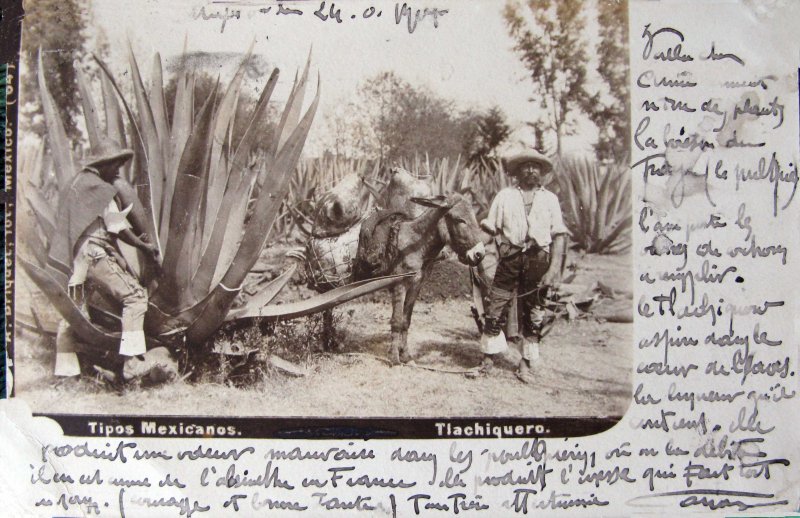 TIPOS MEXICANOS Tlachiquro por el fotografo ABEL BRIQUETE 1900