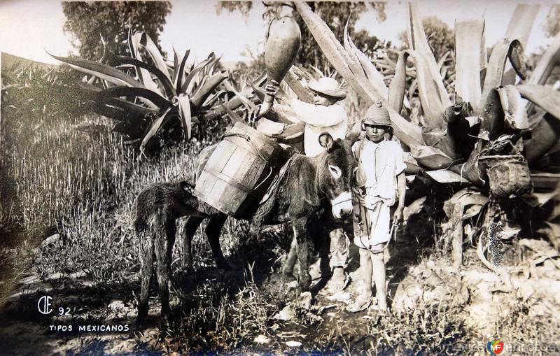 TIPOS MEXICANOS Tlachiquero