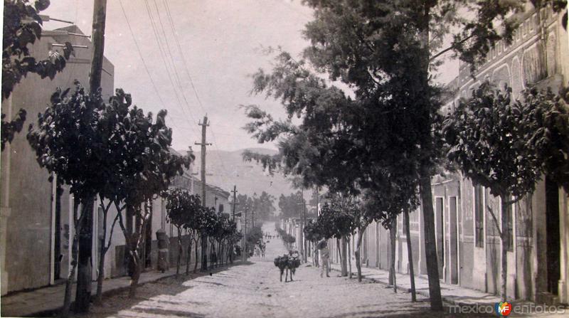 TIPOS MEXICANOS un Arriero