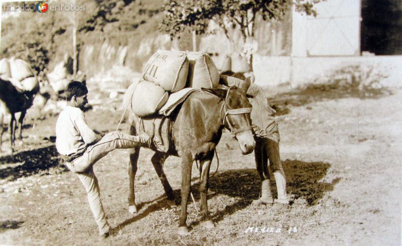 TIPOS MEXICANOS Cargadores de Maiz