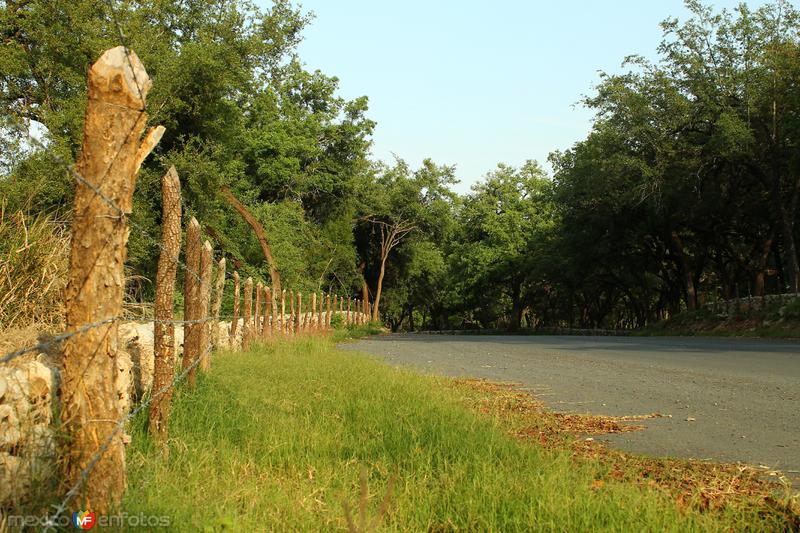 POR LOS CAMINOS DE SANTIAGO