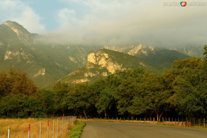 POR LOS CAMINOS DE SANTIAGO