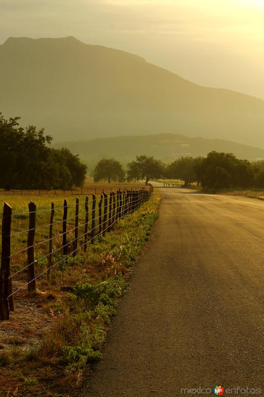 POR LOS CAMINOS DE SANTIAGO