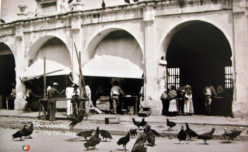 ZOPILOTES EN EL MERCADO Circa 1919