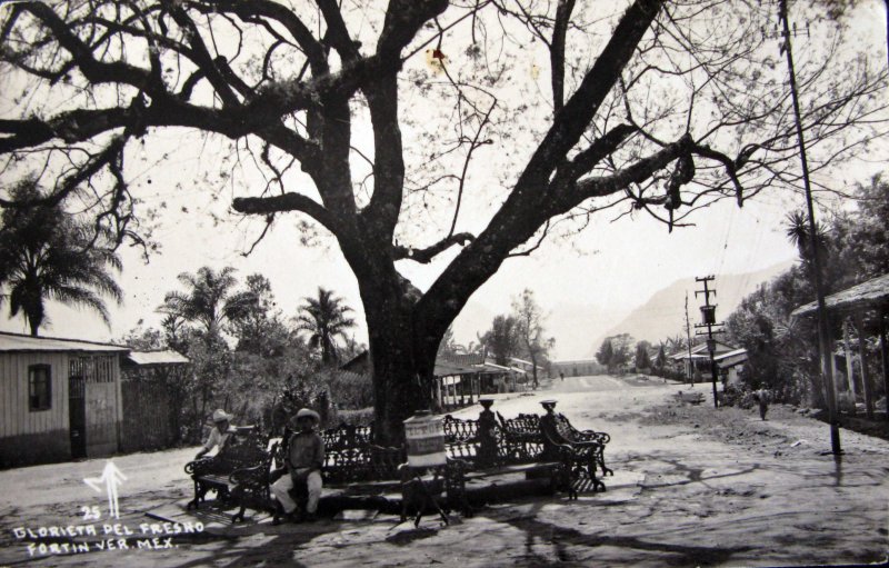 GLORIETA DEL FRESNO