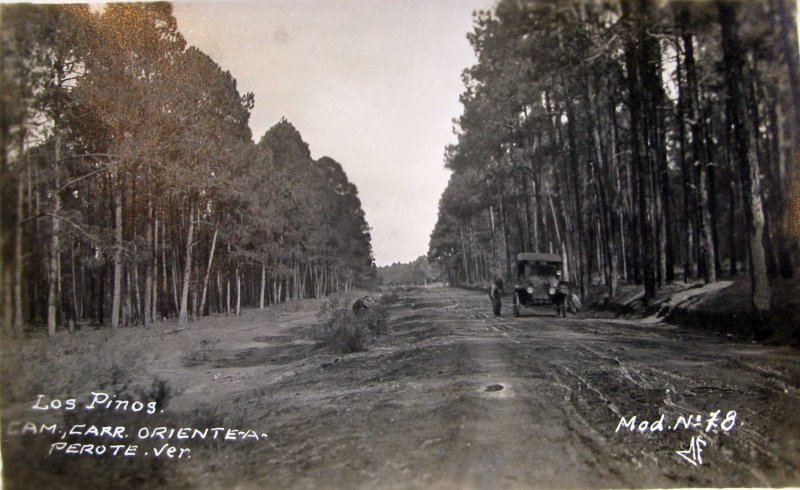 CARRETERA LOS PINOS