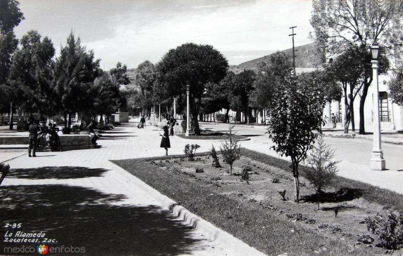 LA ALAMEDA