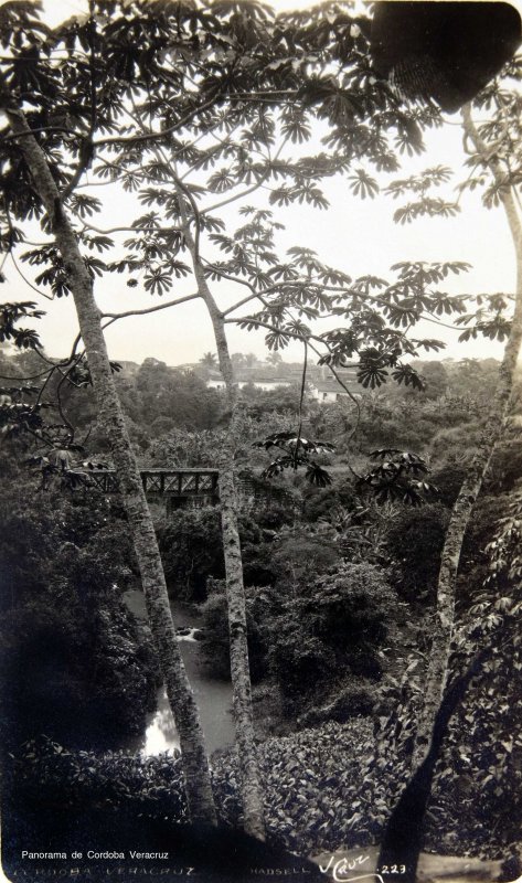 Panorama de Cordoba Veracruz