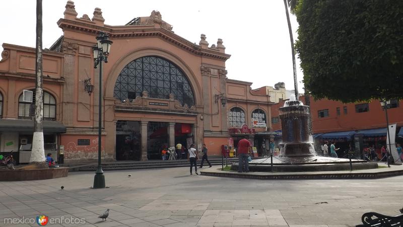 Fuente y Mercado Morelos. Abril/2015