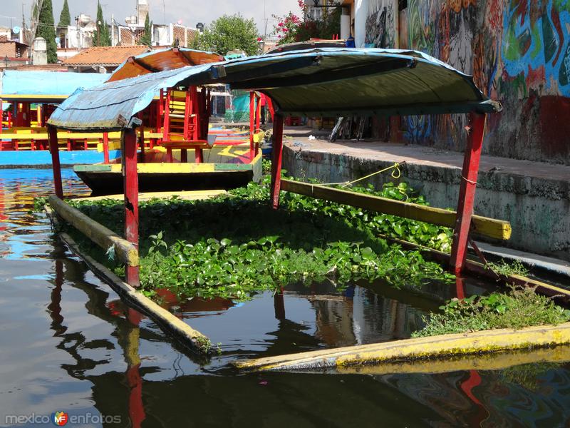 Canales de Xochimilco