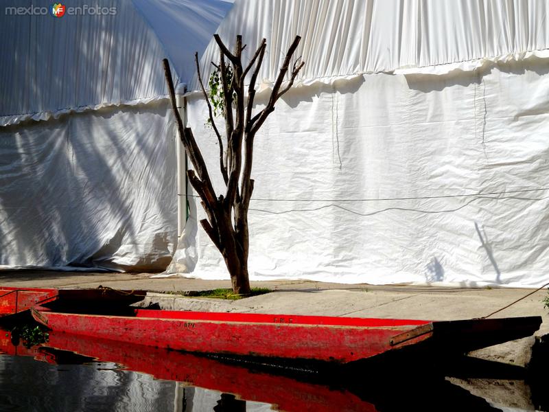 Canales de Xochimilco