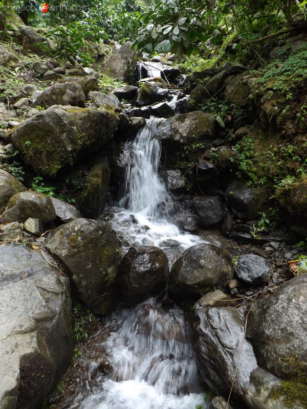 Riachuelo cerca de la cascada La Sirena. Julio/2015