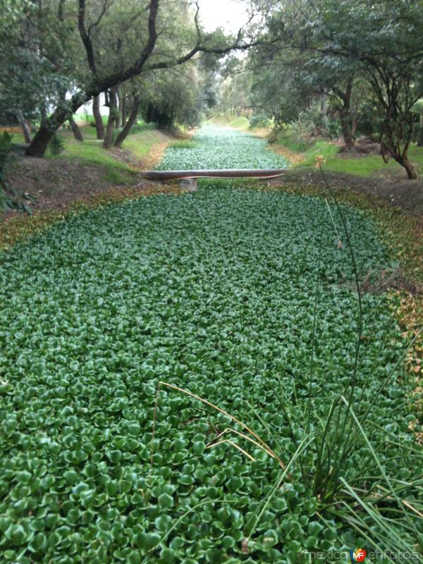 Jardín Botánico de Tizatlán. Septiembre/2015