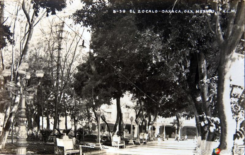 EL ZOCALO Y LA ALAMEDA