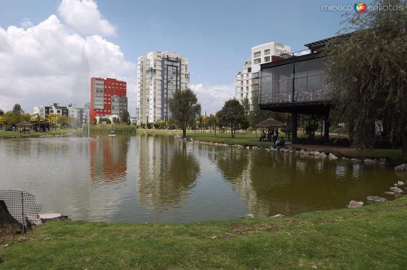 Lago en el Jardín del Arte. Septiembre/2015