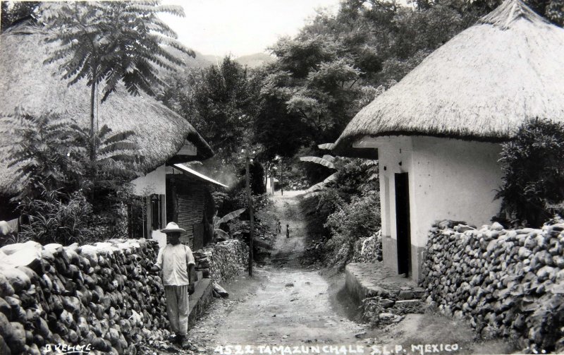 ESCENA CALLEJERA