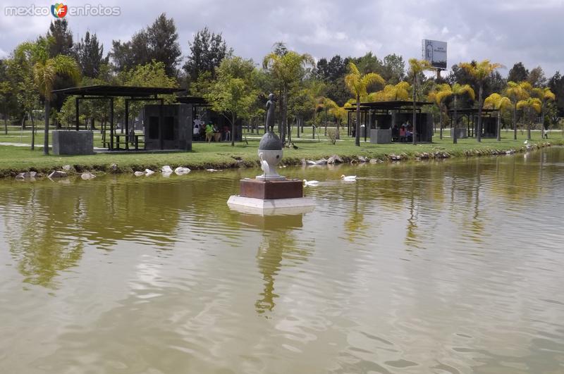 Lago y escultura, Jardín del arte. Septiembre/2015