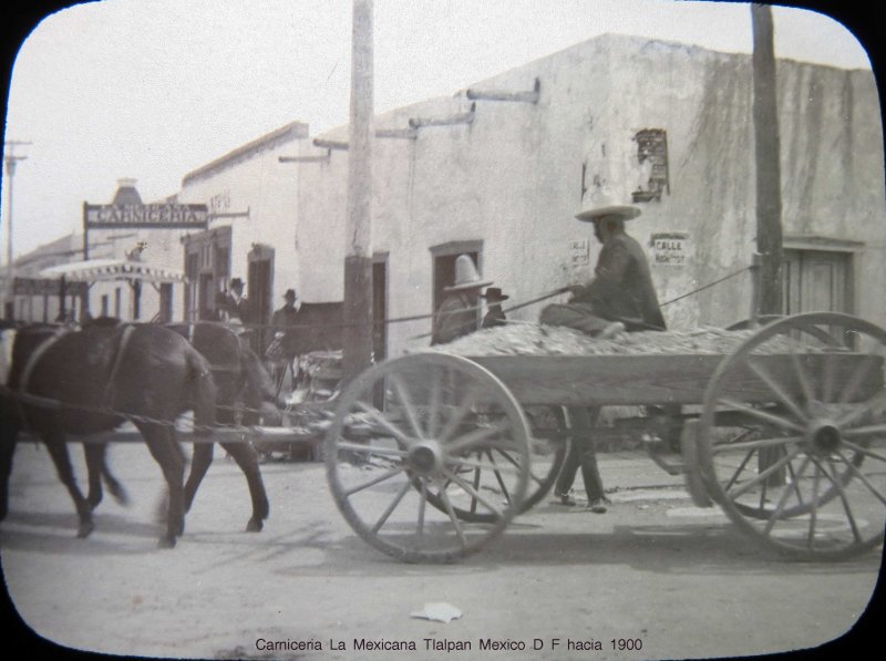 Carniceria La Mexicana Tlalpan Mexico D F