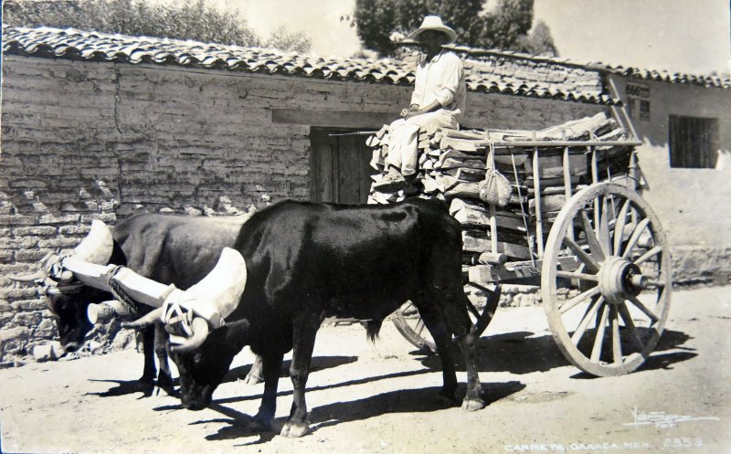 TIPOS MEXICANOS Vendedoras de lena