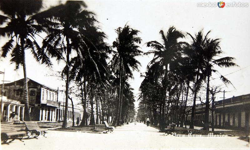 AVENIDA DE LAS PALMAS