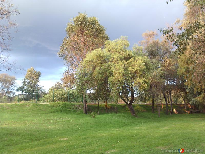 El otoño en el Jardín Botánico. Noviembre/2015