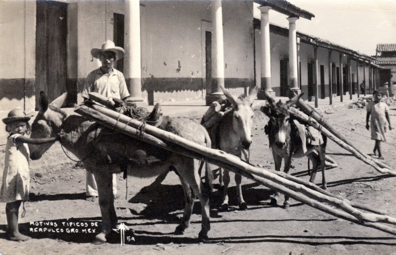 Burros de carga