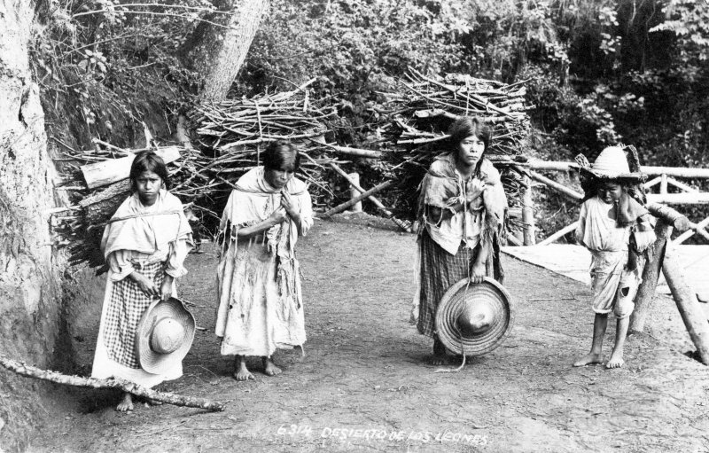 Cargadores de leña, en el Desierto de los Leones