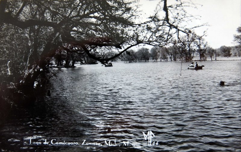 LAGO DE CAMECUARO