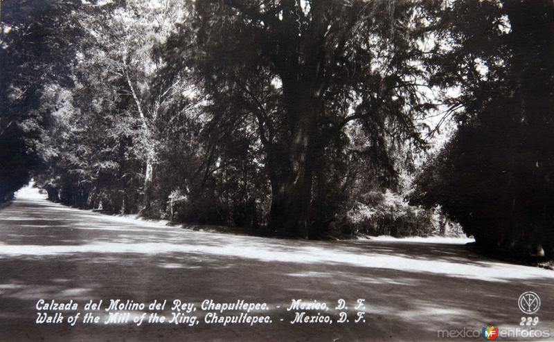 CALZADA DEL MOLINO DEL REY CHAPULTEPEC