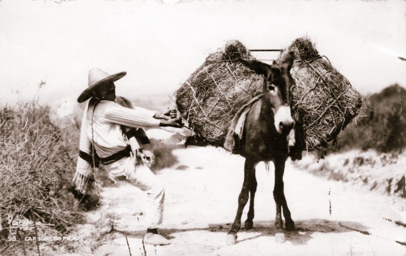 Arriero cargando un burro