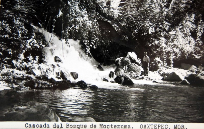 Cascada de el Bosque de Moctezuma