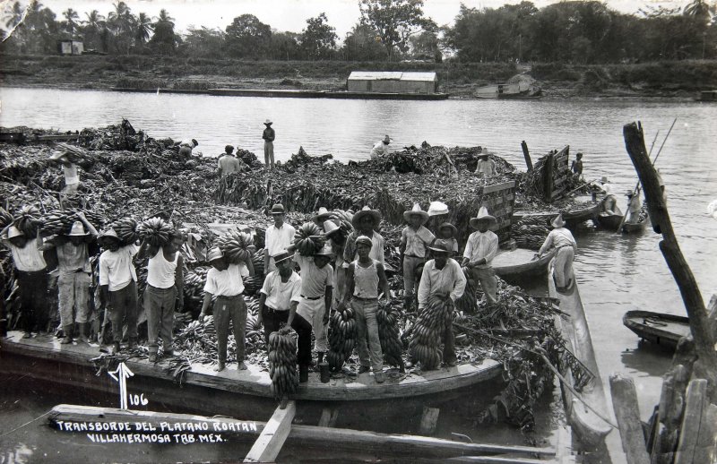 Transporte de platano ratan